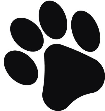 Animal Footprint Illustration